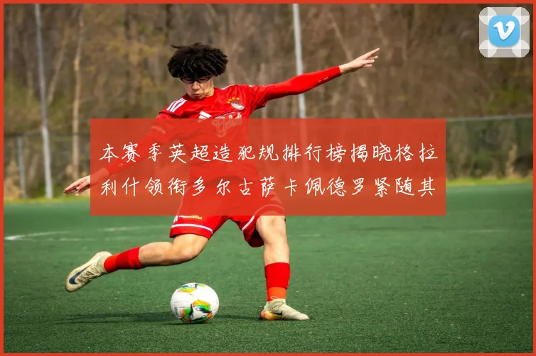 本赛季英超造犯规排行榜揭晓格拉利什领衔多尔古萨卡佩德罗紧随其后
