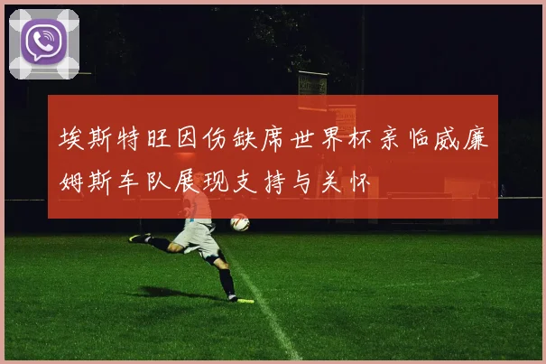 埃斯特旺因伤缺席世界杯亲临威廉姆斯车队展现支持与关怀
